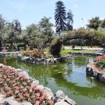 Parque El Olivar